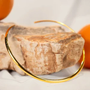 Collares Y Colgantes^Joyería Suiza Gargantilla ri虂gida_FLEX:C035