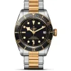 Tudor^Tudor Black Bay S&G